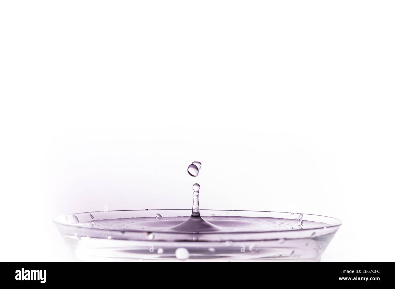 Droplets creating ripples in a glass of water in a purple hue isolated ...