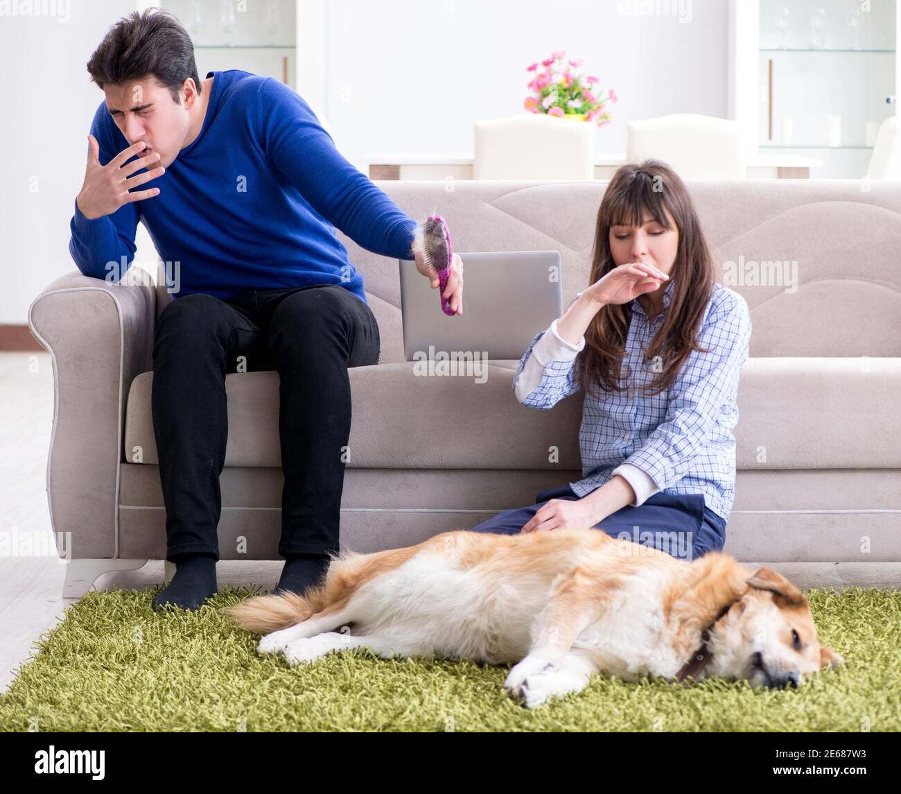 The man having allergy from dog fur Stock Photo Alamy