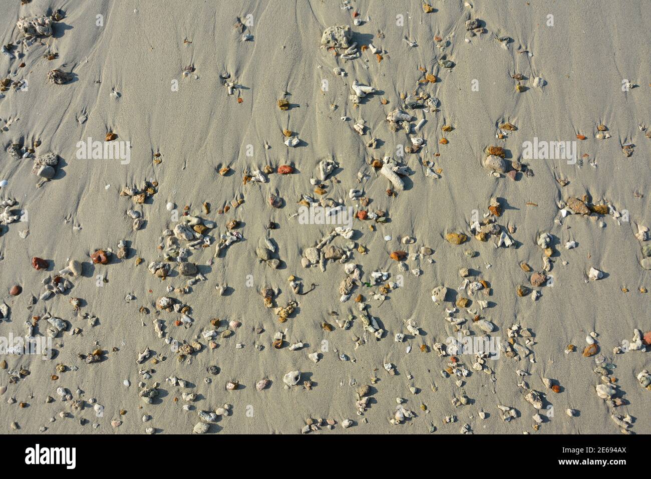 groups of small rocks on the sand beach in sunny day Stock Photo