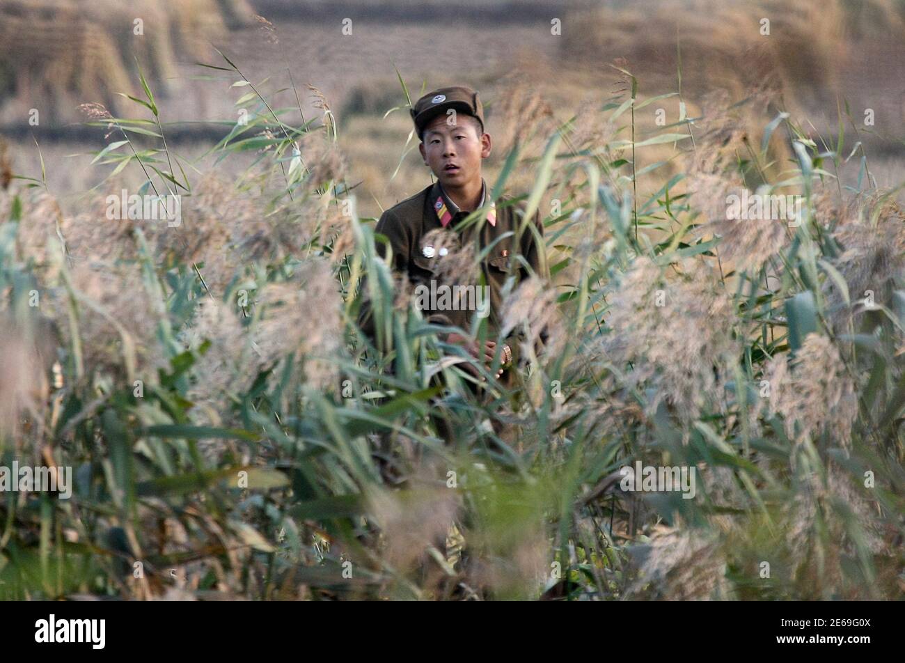 A North Korean soldier guards the banks of the Yalu River near the North Korean town of Sinuiju October 9, 2010.  REUTERS/Stringer (NORTH KOREA - Tags: POLITICS) Stock Photo