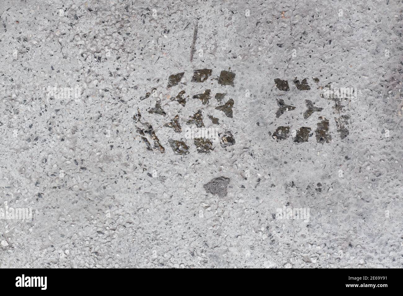 Wet shoe print on concrete cement white smooth surface with small pebbles aged urban texture Stock Photo