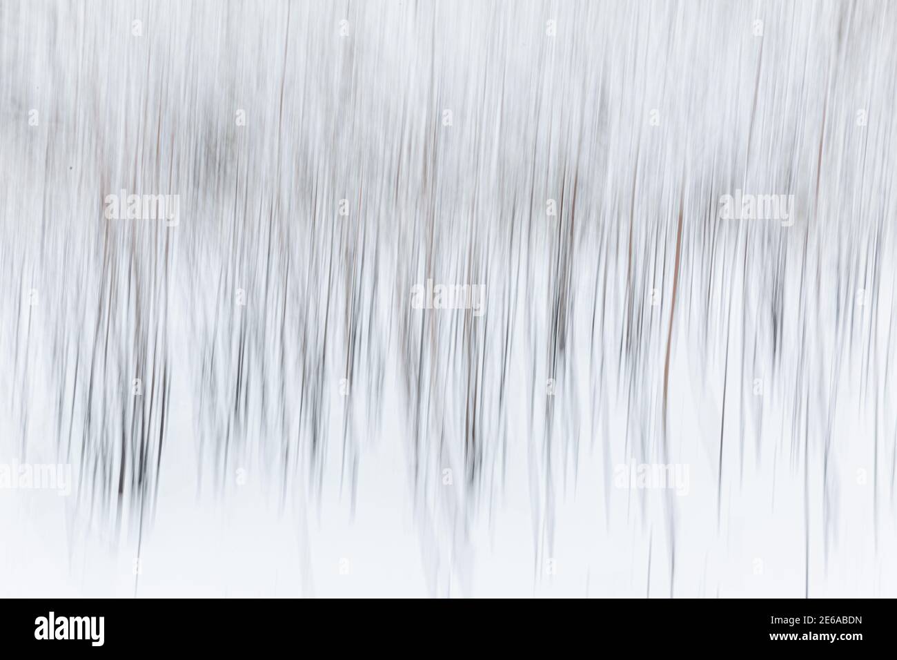 Strand of trees hires stock photography and images Alamy