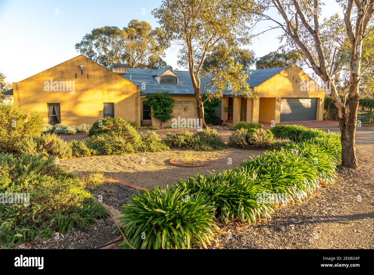 Landscaped Australian Native Plant Garden surrounds a modern country style home. Stock Photo