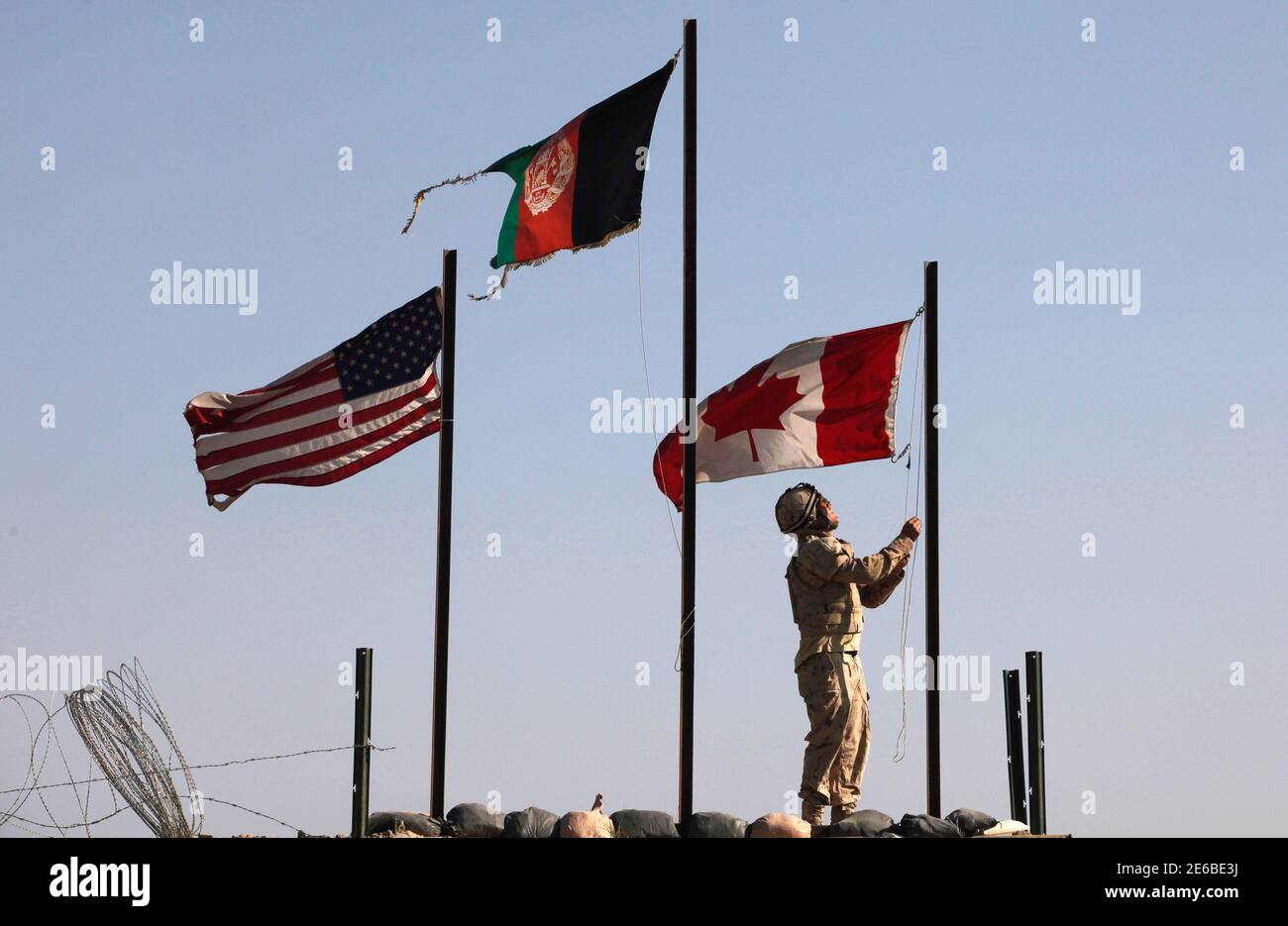 Are American Bulldogs Allowed On Military Bases