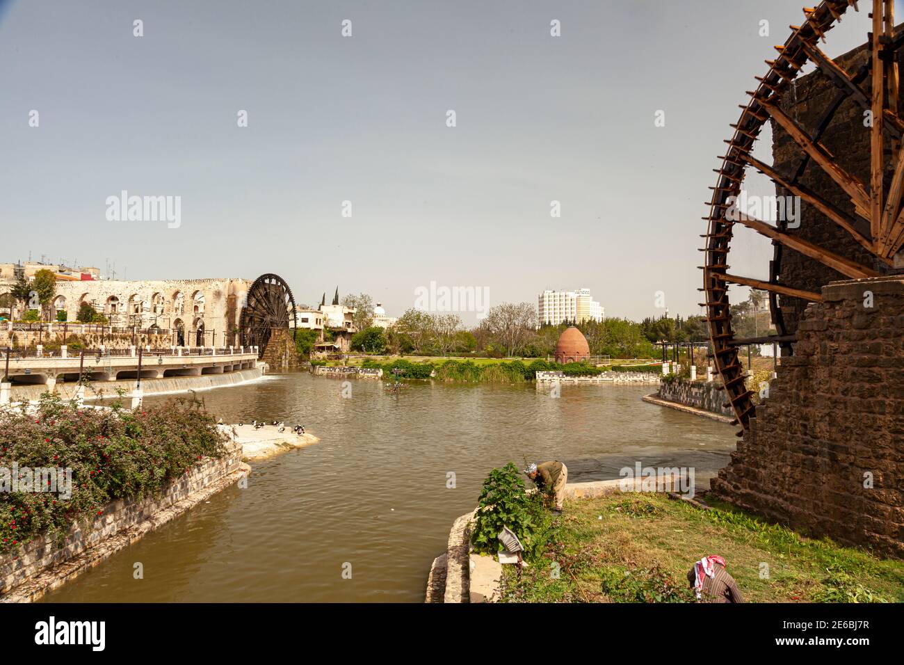 Hama Syria 04-02-2010: Cityscape of Hama with Orontes River and famous Norias (waterwheels) built to deliver water from river to historic aqueducts fo Stock Photo