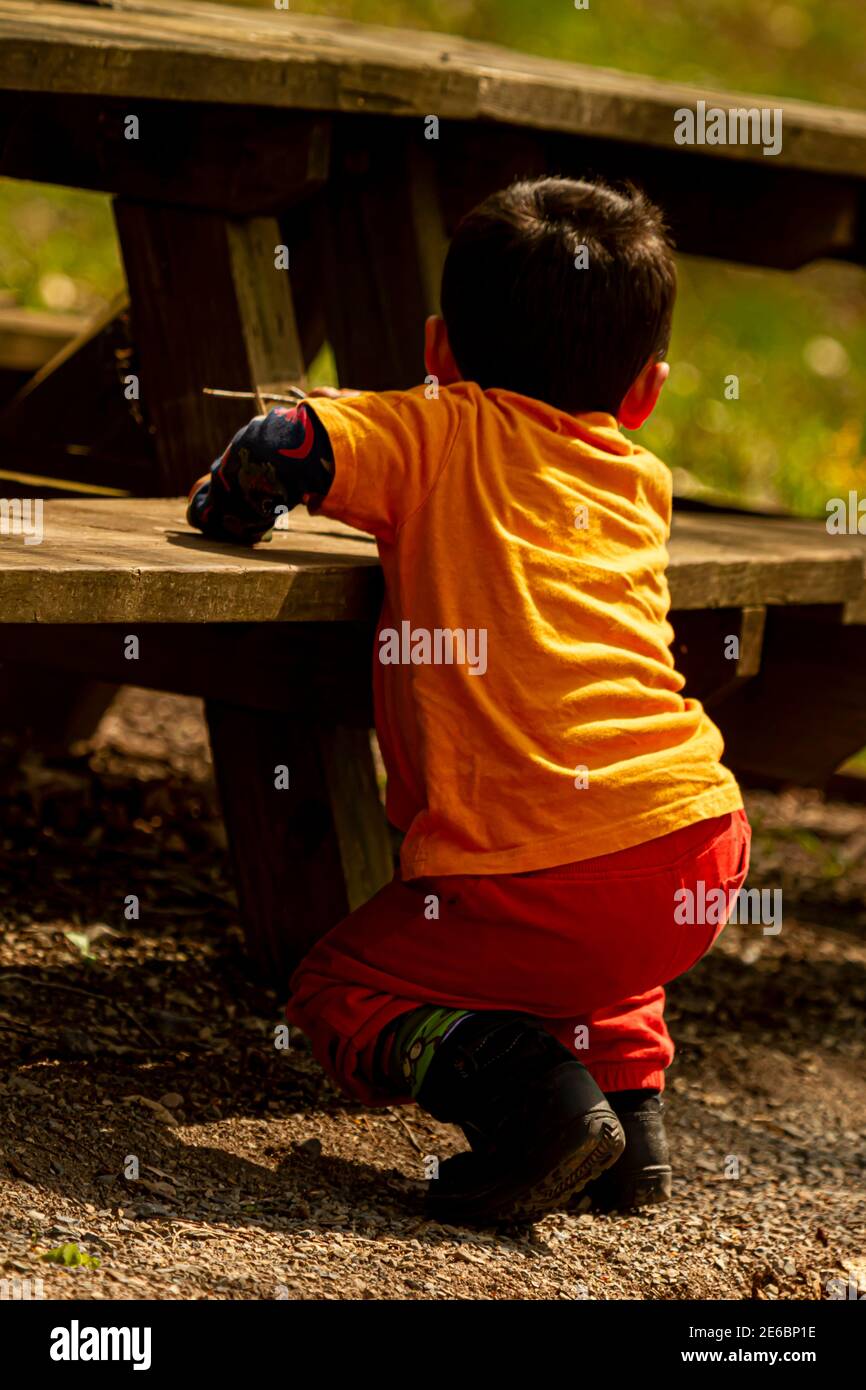 A short hair caucasian toddler boy is trying to climb onto a wooden picnic bench in forest. The active kid wears orange t shirt , red pants and boots. Stock Photo