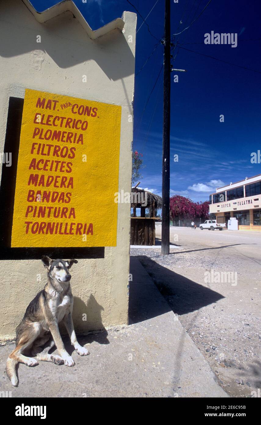 Street scene with sleepy dog and store sign in San Carlos, Baja California Sur, Mexico Stock Photo