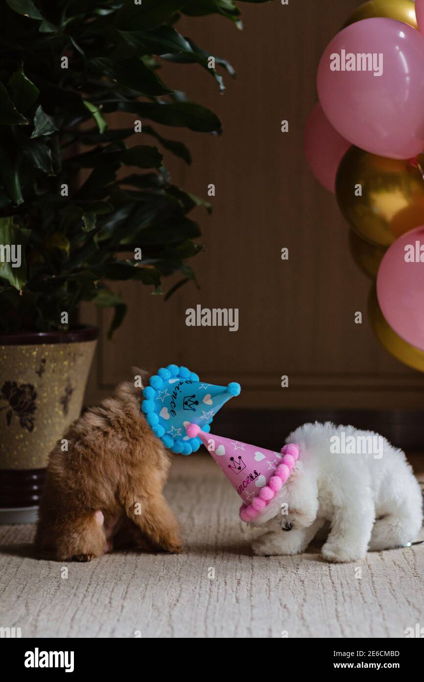French Birthday Card High Resolution Stock Photography And Images Alamy