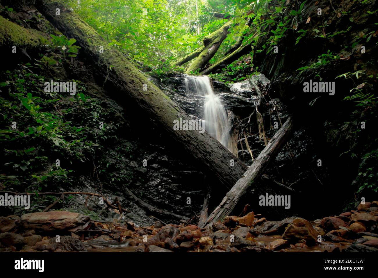 A small waterfall on the bed of a narrow creek in the middle of Kalimantan rainforest, Indonesia. Stock Photo