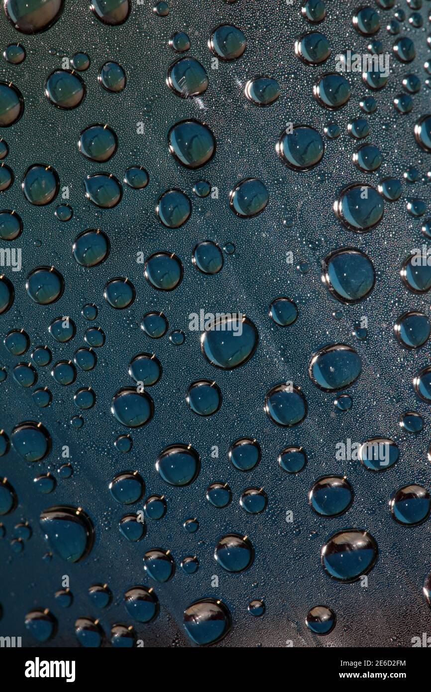 Water droplets in plastic bottle macro background high quality print Stock Photo