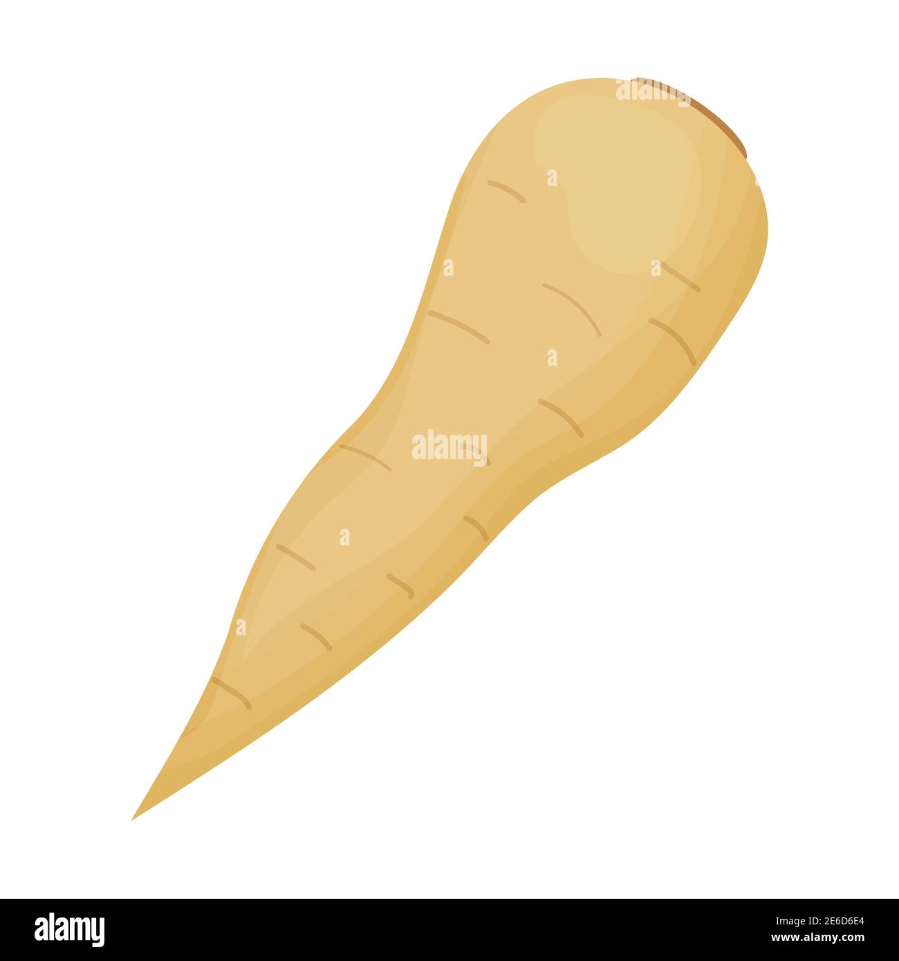 Raw parsnip Stock Vector Images - Alamy