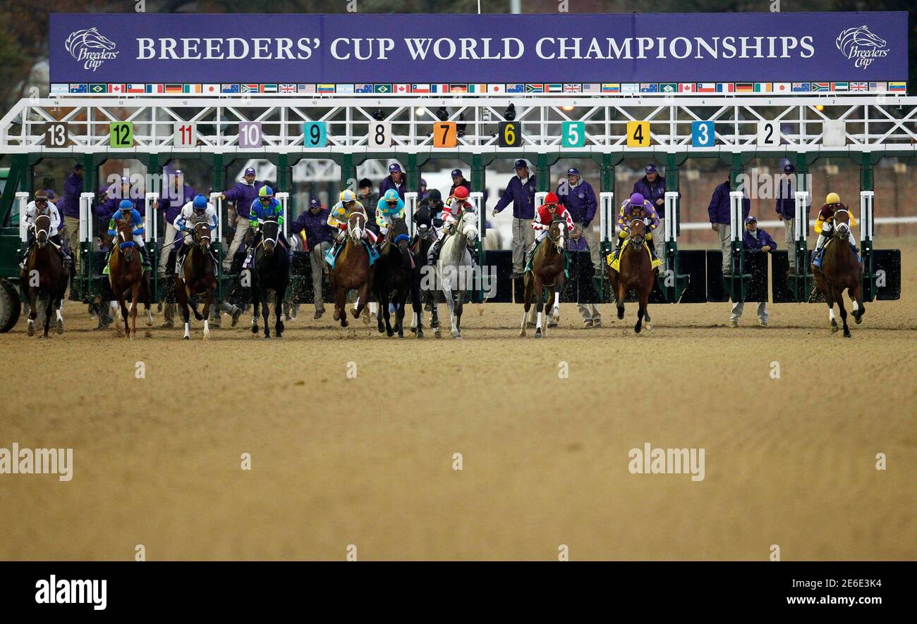 Horse Racing Starting Gate High Resolution Stock Photography And Images Alamy