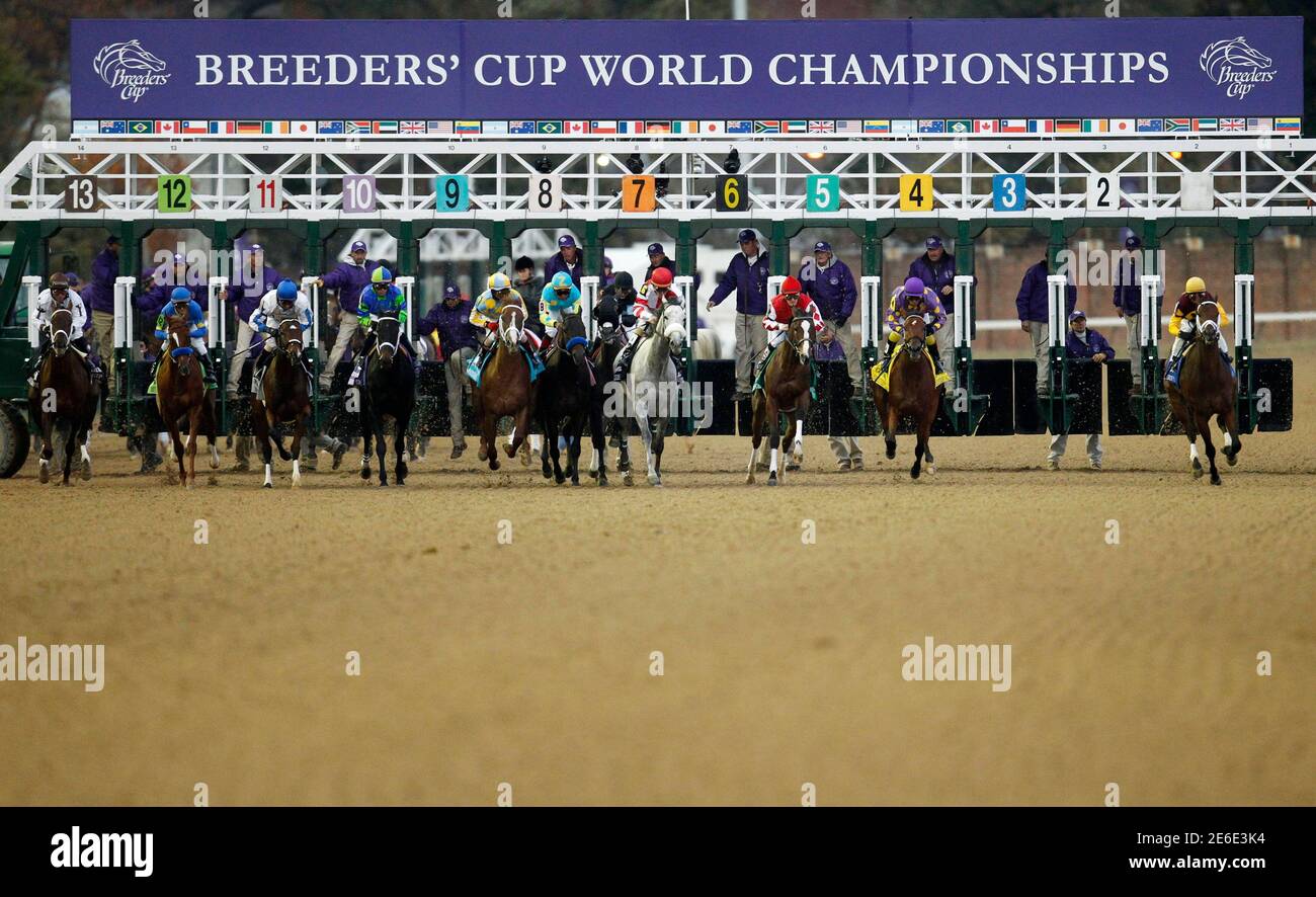 Horse Racing Starting Gate High Resolution Stock Photography And Images Alamy Horse Racing Starting Gate High Resolution Stock Photography And Images Alamy