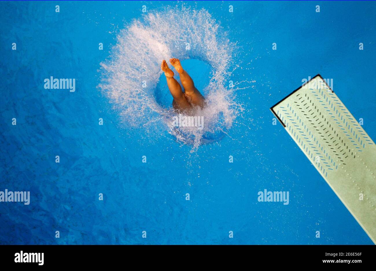 A competitor dives during practice before the women's synchronised 3m springboard diving final at the 16th Asian Games in Guangzhou, Guangdong province, November 22, 2010.    REUTERS/Jason Lee (CHINA  - Tags: SPORT DIVING) Stock Photo