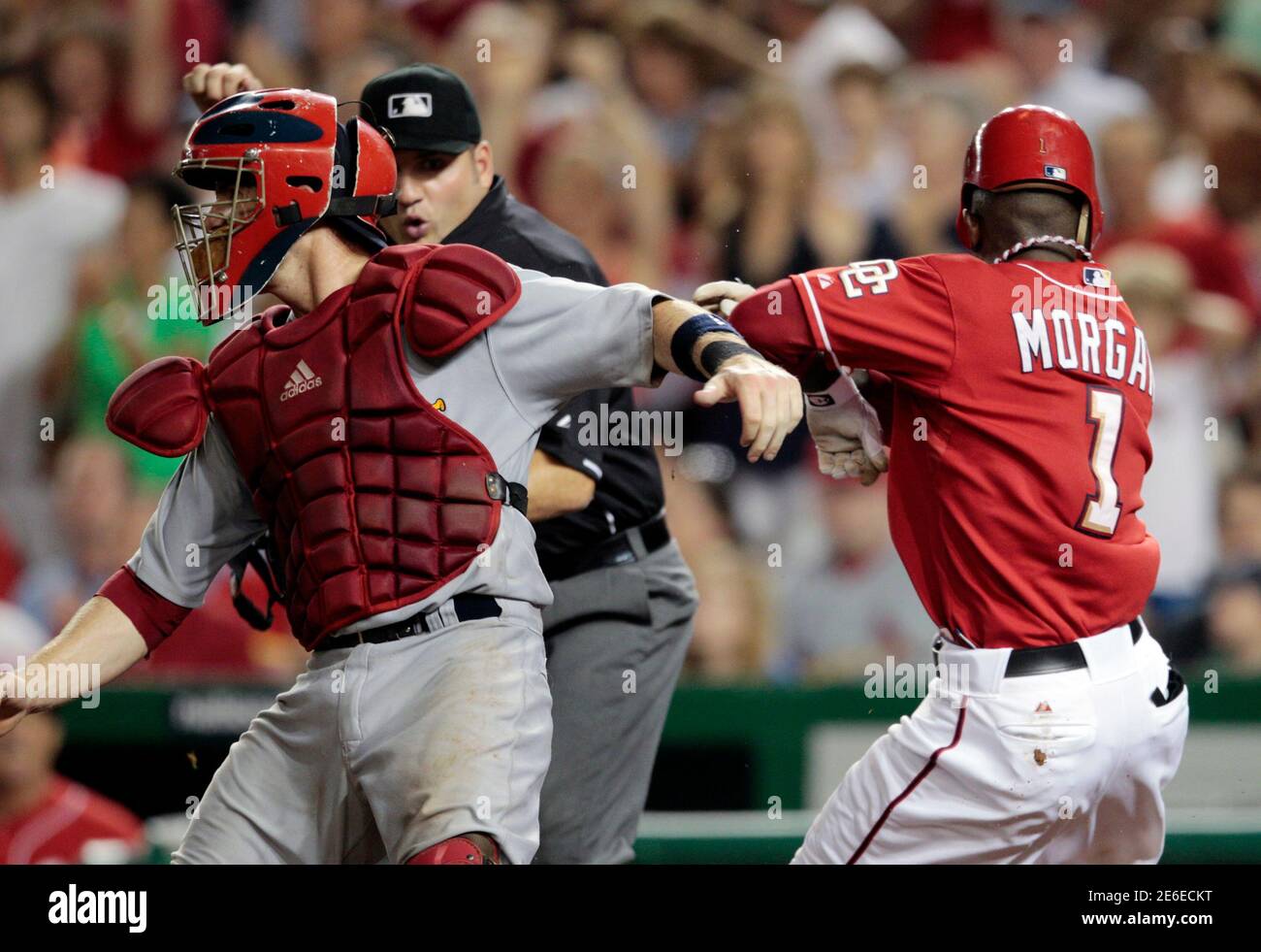 Nyjer morgan baseball hi-res stock photography and images - Alamy