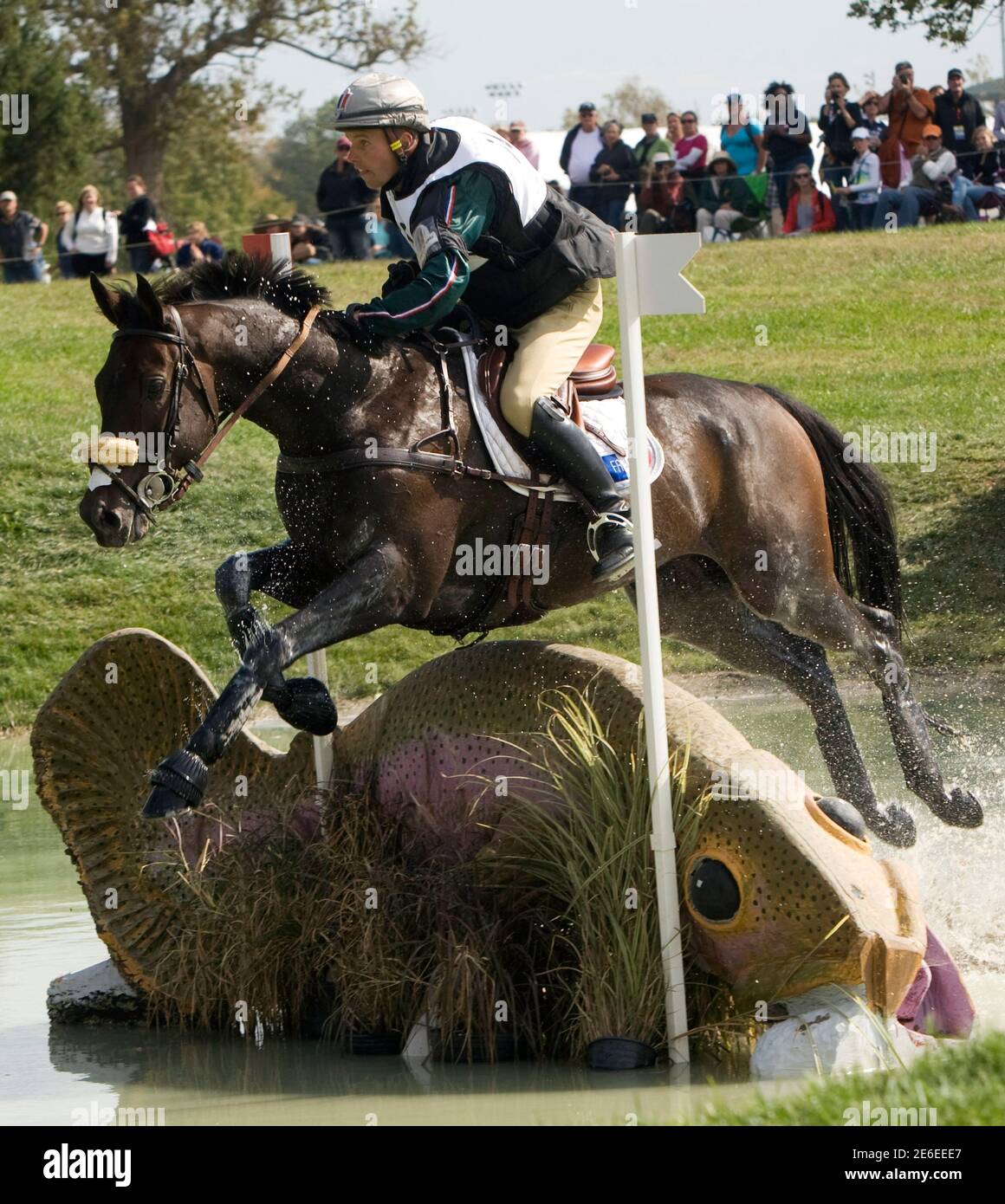 Donatien Schauly of France riding Seculaire competes in the cross country phase of the Eventing World Championship at the World Equestrian Games in Lexington, Kentucky, October 2, 2010. REUTERS/Caren Firouz  (UNITED STATES - Tags: ANIMALS SPORT EQUESTRIANISM) Stock Photo