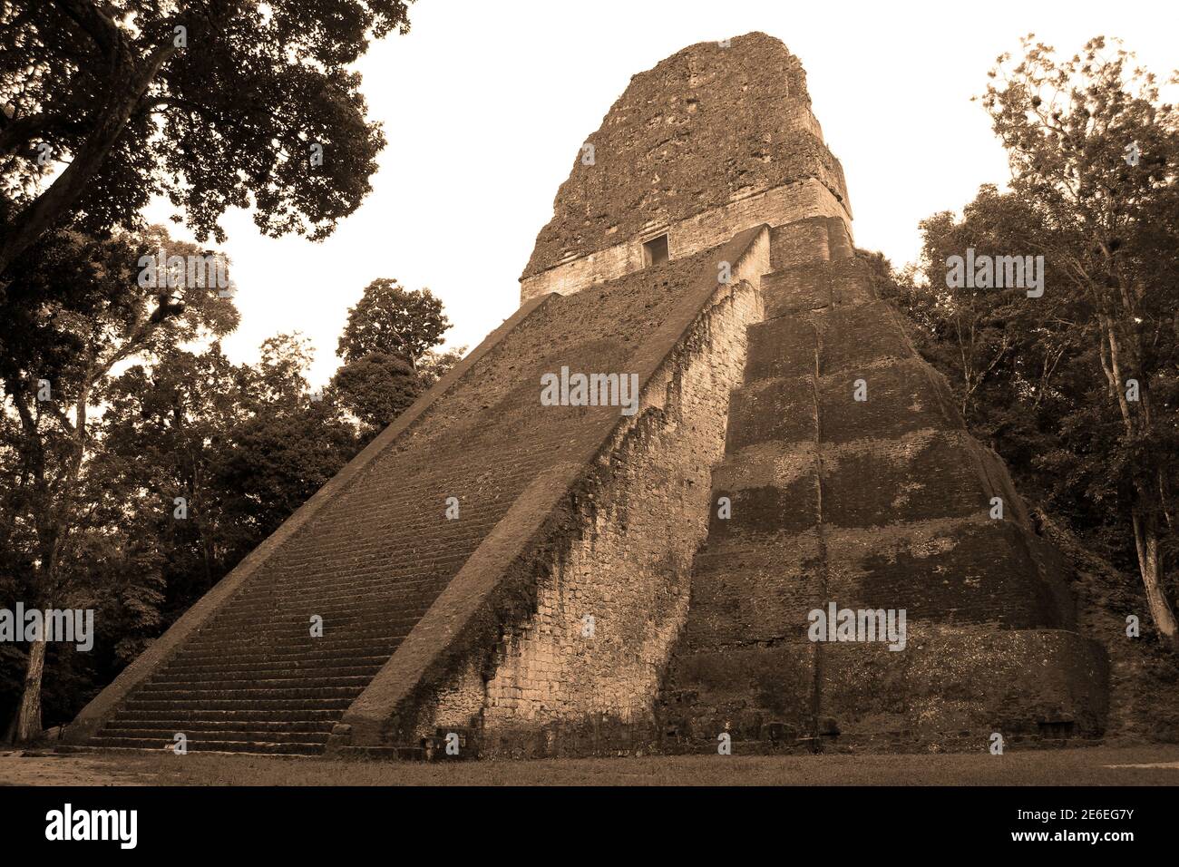Mayan Temple In Tikal National Park Stock Photo