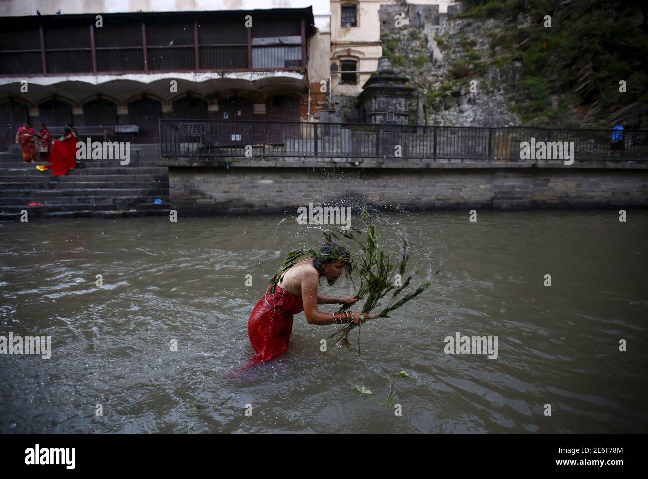 A woman lashes herself with the leaves of the Aghada plant at the Bagmati River, during the Rishi Panchami festival, in Kathmandu, Nepal September 18, 2015. Rishi Panchami is observed on the last day of Teej when women worship Sapta Rishi (Seven Saints) to ask for forgiveness for sins committed during their menstrual periods throughout the year. The Hindu religion considers menstruation as a representation of impurity and women are prohibited from taking part in religious practices during their monthly menstruations. REUTERS/Navesh Chitrakar Stock Photo