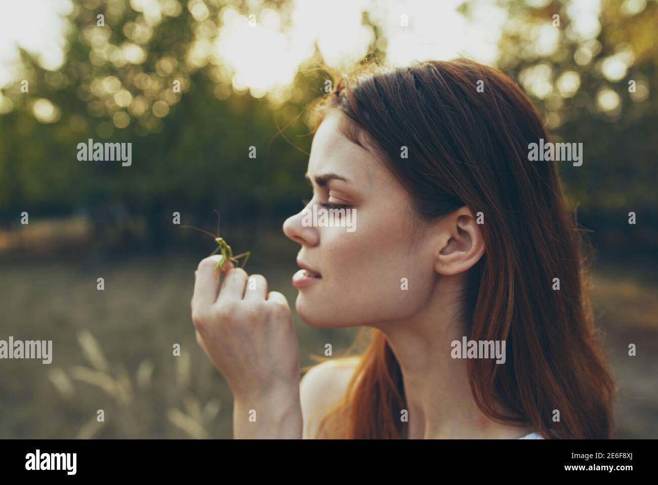 beautiful woman holds a praying mantis on her hand in nature on a meadow in summer Stock Photo