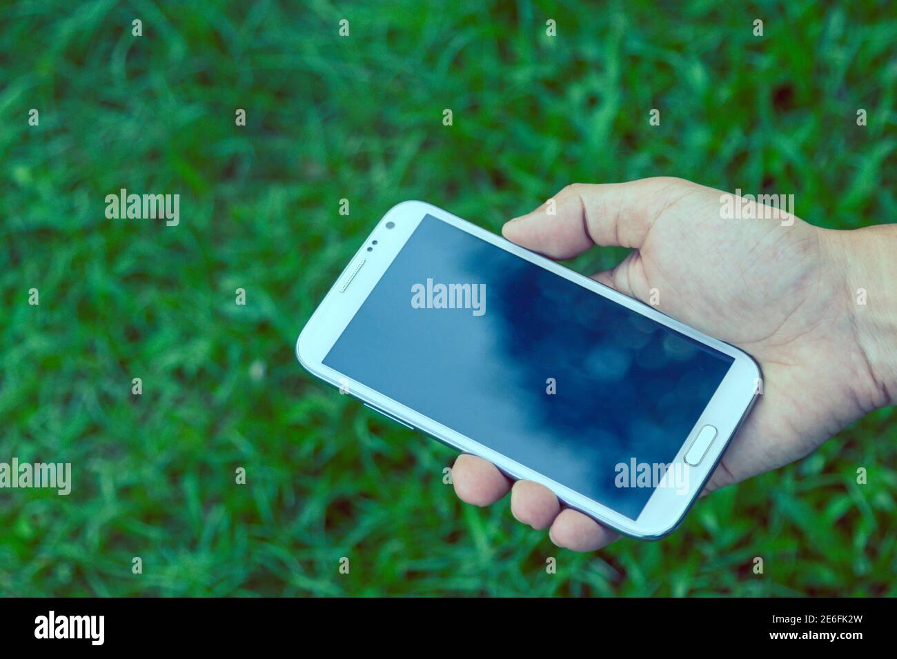Close up man using mobile smart phone green background Stock Photo - Alamy