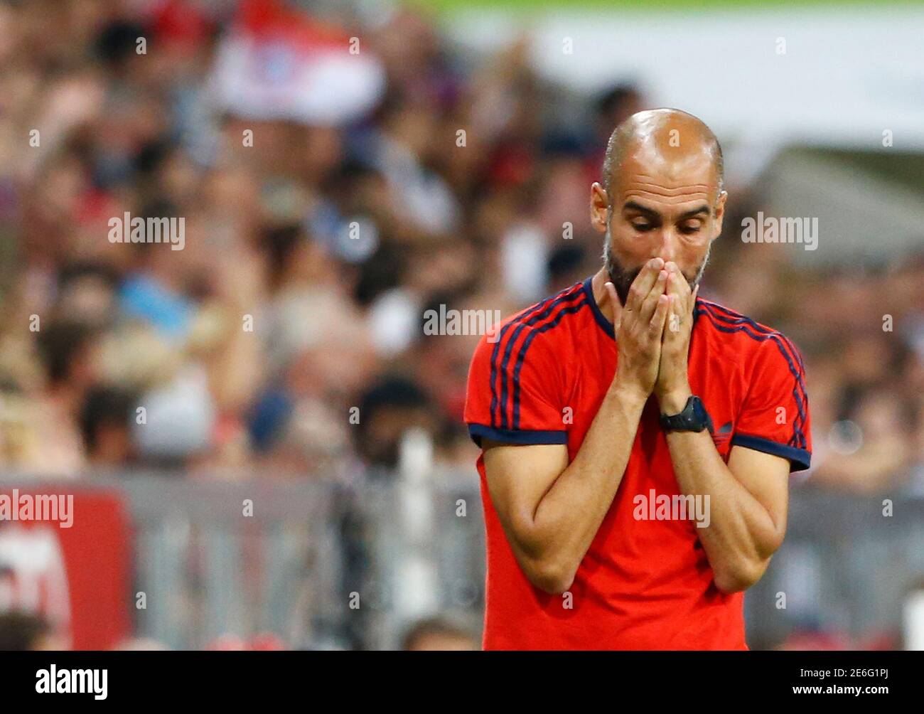 Bayern Munich's coach Pep Guardiola reacts during their pre-season Audi Cup  tournament soccer match against AC Milan in Munich, Germany, August 4,  2015. REUTERS/Michaela Rehle Stock Photo - Alamy