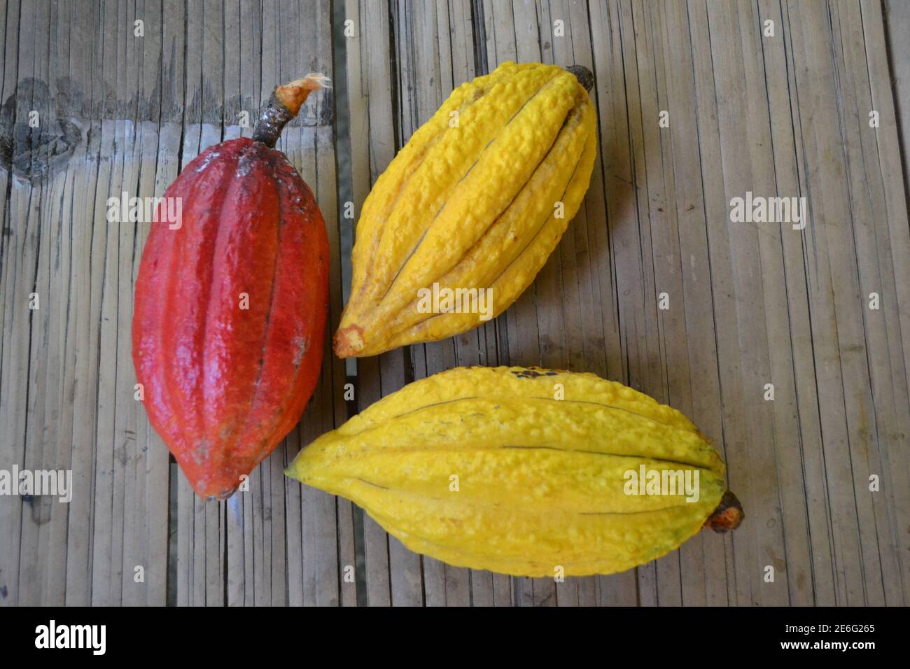 high angle view of ripe cacao in orange and yellow on the bamboo table Stock Photo