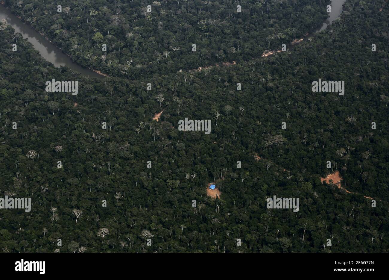 Illegal logging amazon rainforest hi-res stock photography and images ...