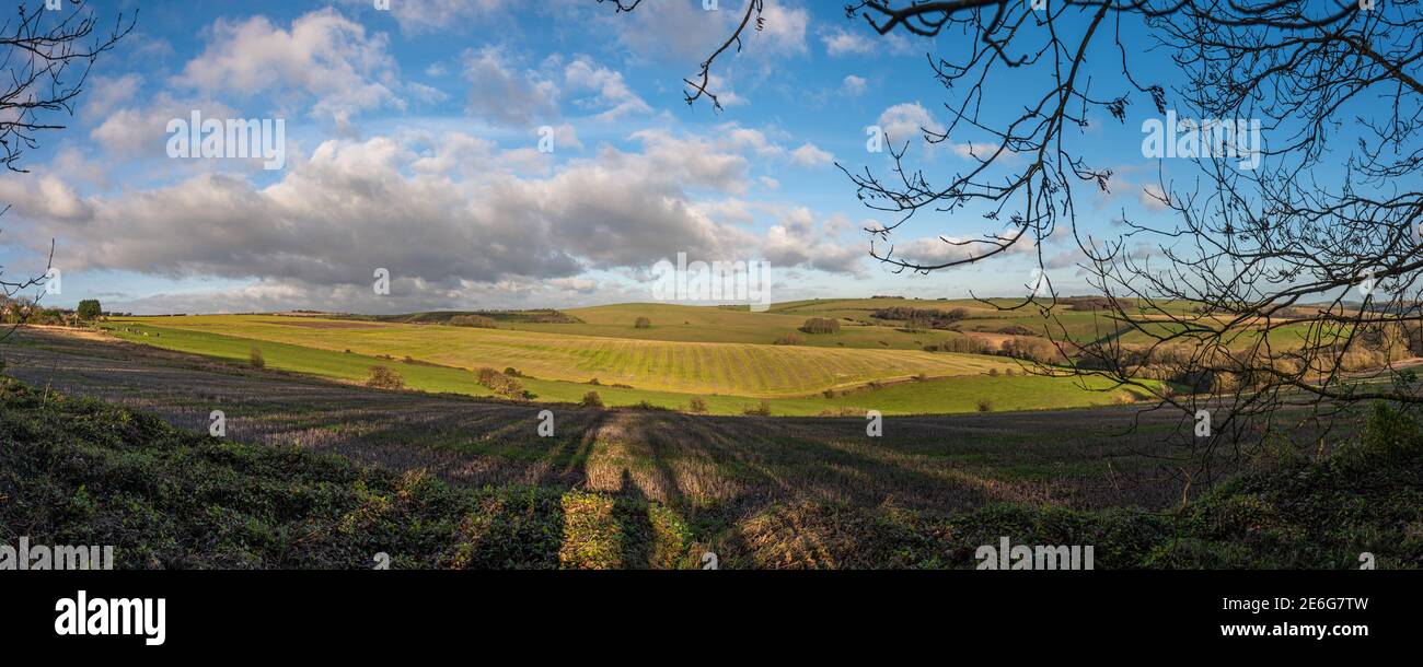 A view across the South Downs towards Ditchling Beacon from Stanmer Park near Brighton, East Sussex, UK Stock Photo