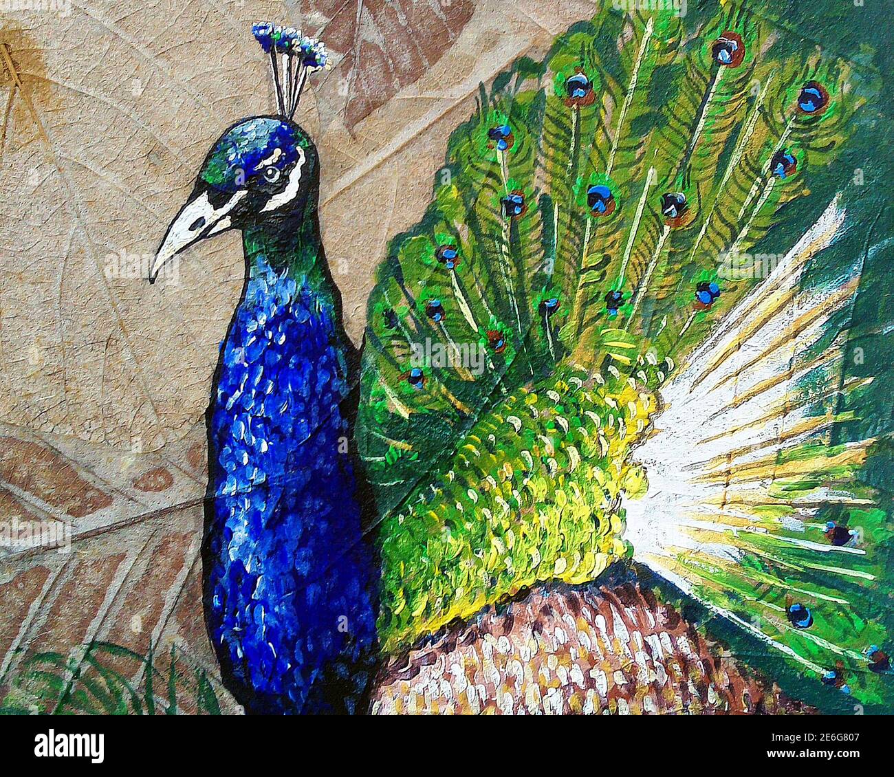 Art ,painting, oil color, Smiling ,cute ,peacock ,thailand , relax ...