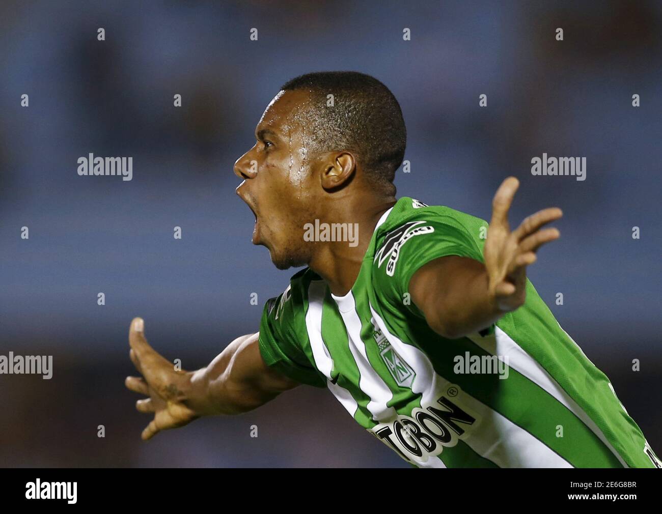 Football Soccer Penarol Vs Atletico Nacional Copa Libertadores Centenario Stadium Montevideo Uruguay 15 3 16 Atletico Nacional S Jonathan Copete Celebrates After Scoring A Goal Reuters Andres Stapff Stock Photo Alamy