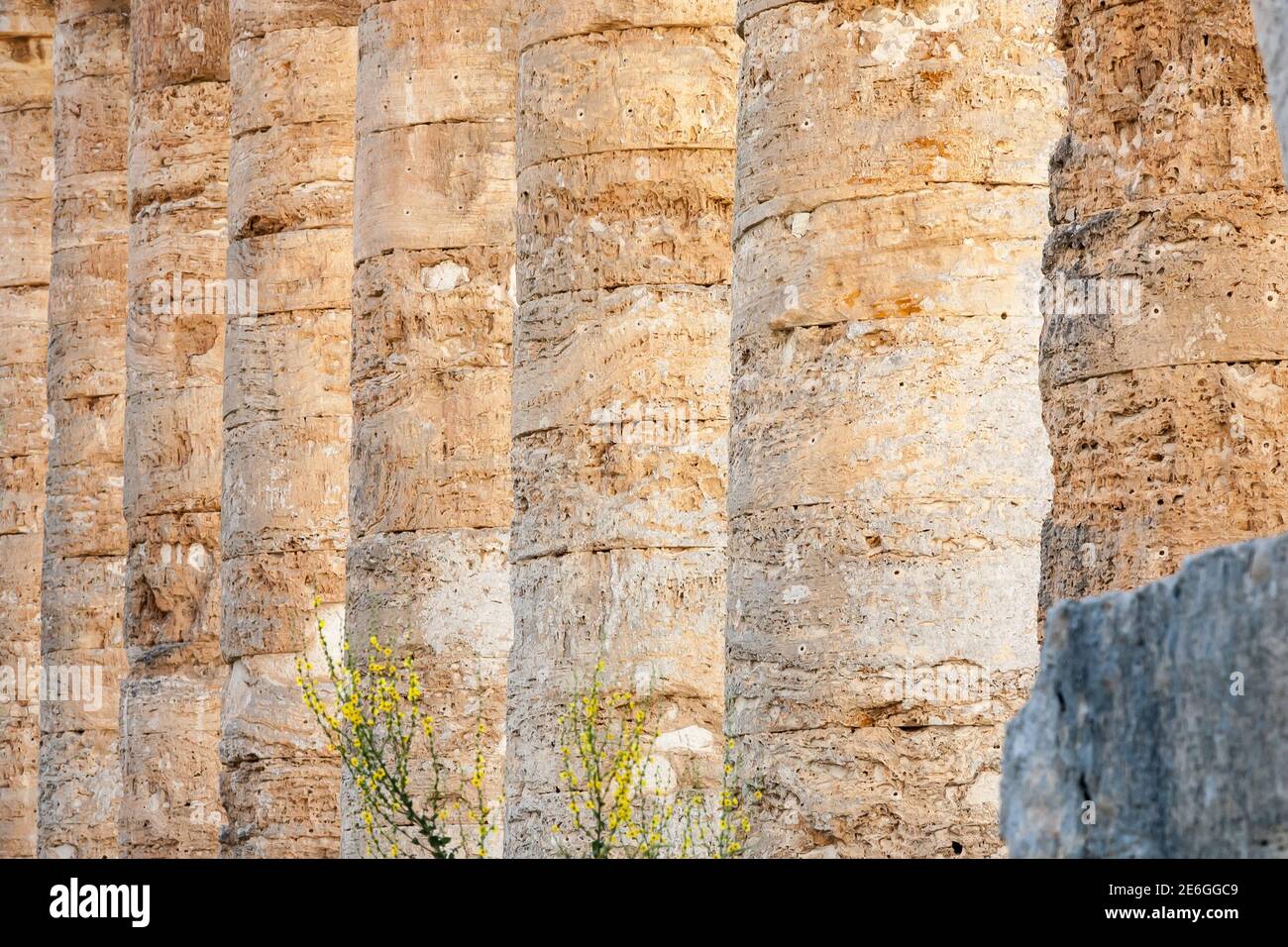 Columns of the Doric temple of Segesta in warm evening light, Sicily, Italy Stock Photo