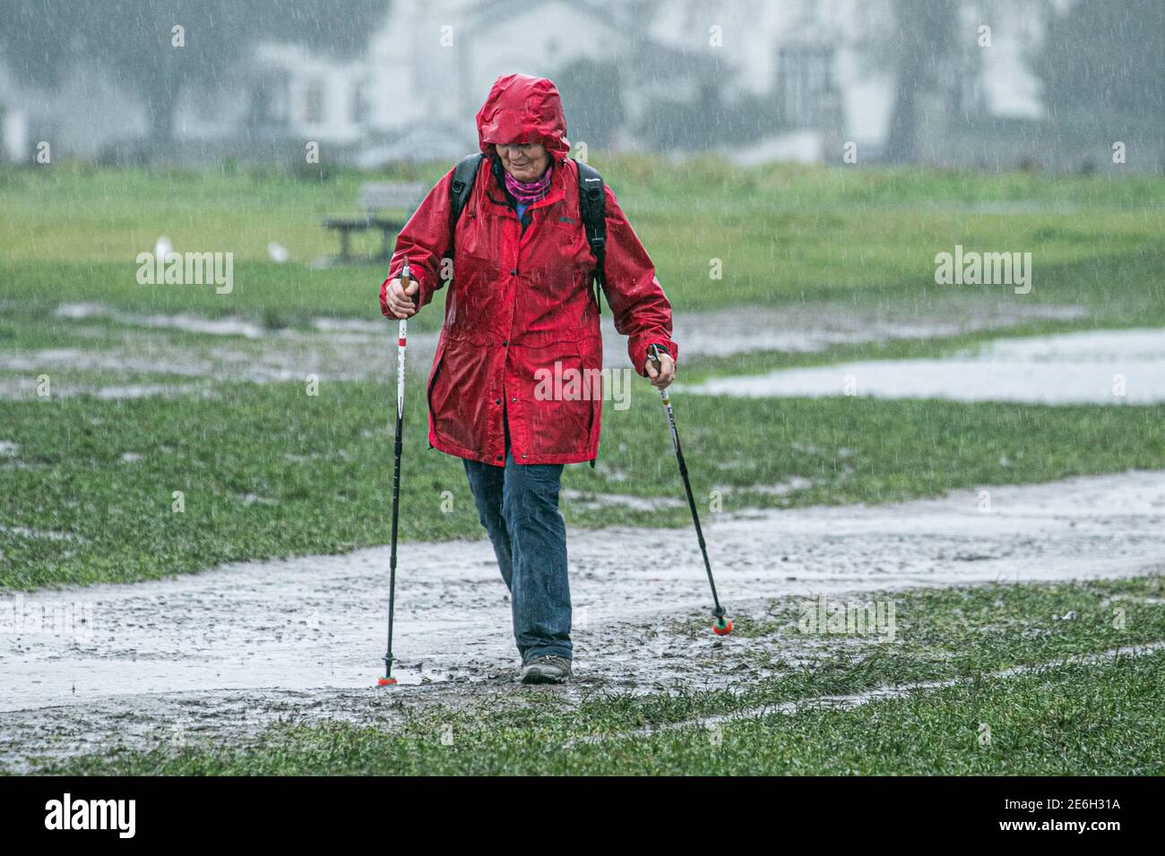 WIMBLEDON LONDON, UK 29 January 2021. A woman walker braves the heavy