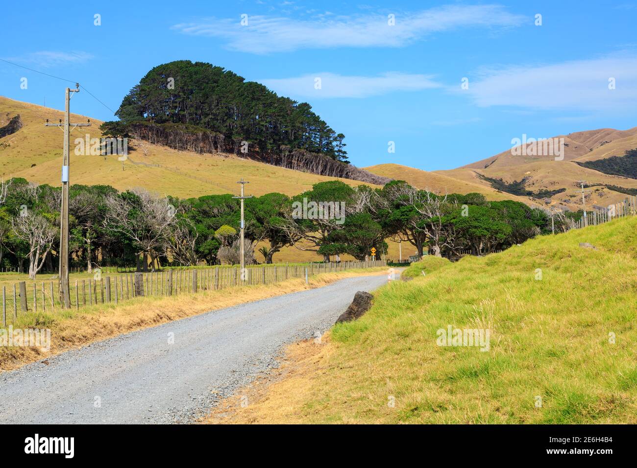 A gravel road passing through farming country in the remote far north of the Coromandel Peninsula, New Zealand Stock Photo