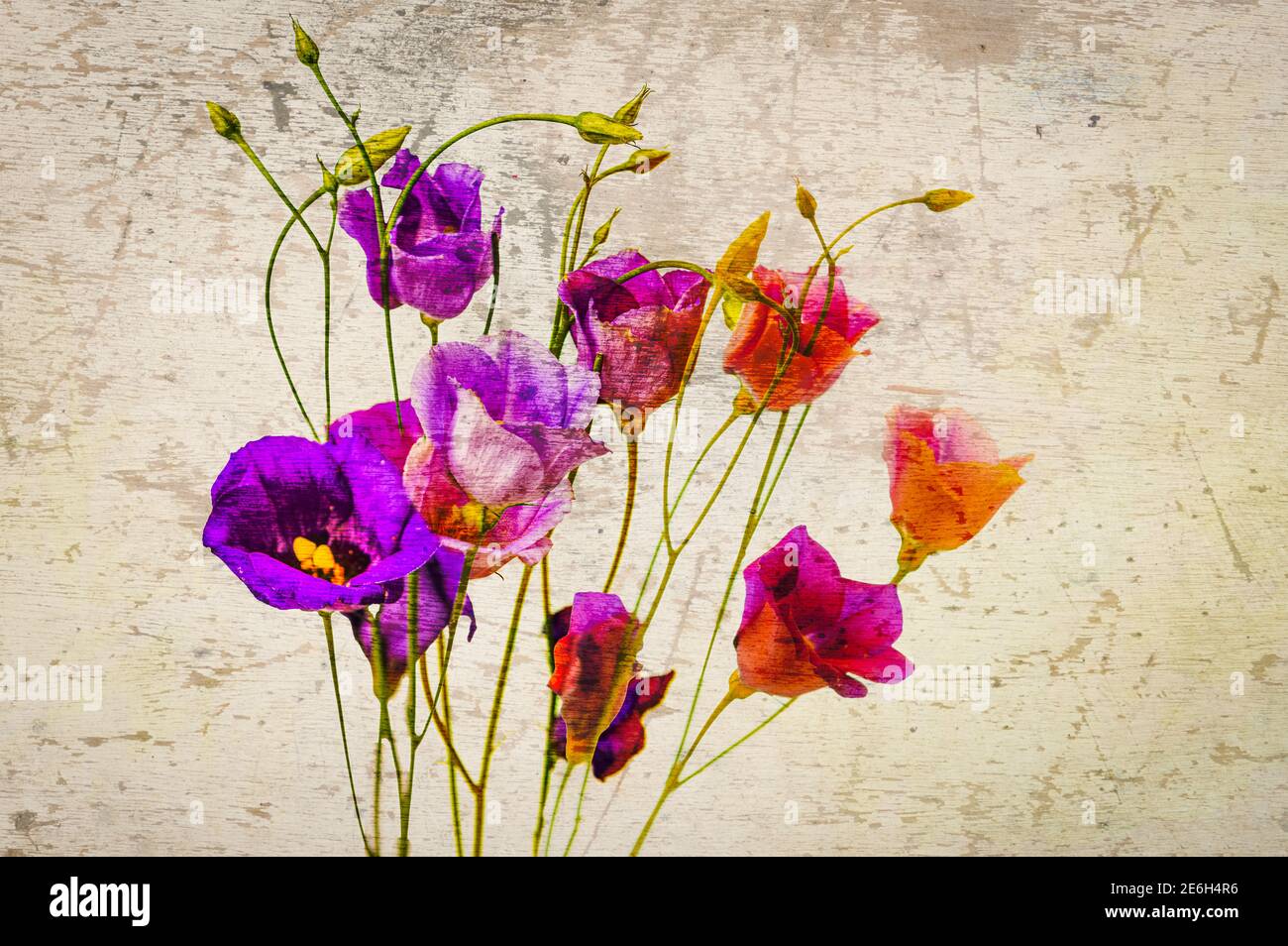 Lisianthus flowers on a textured background Stock Photo