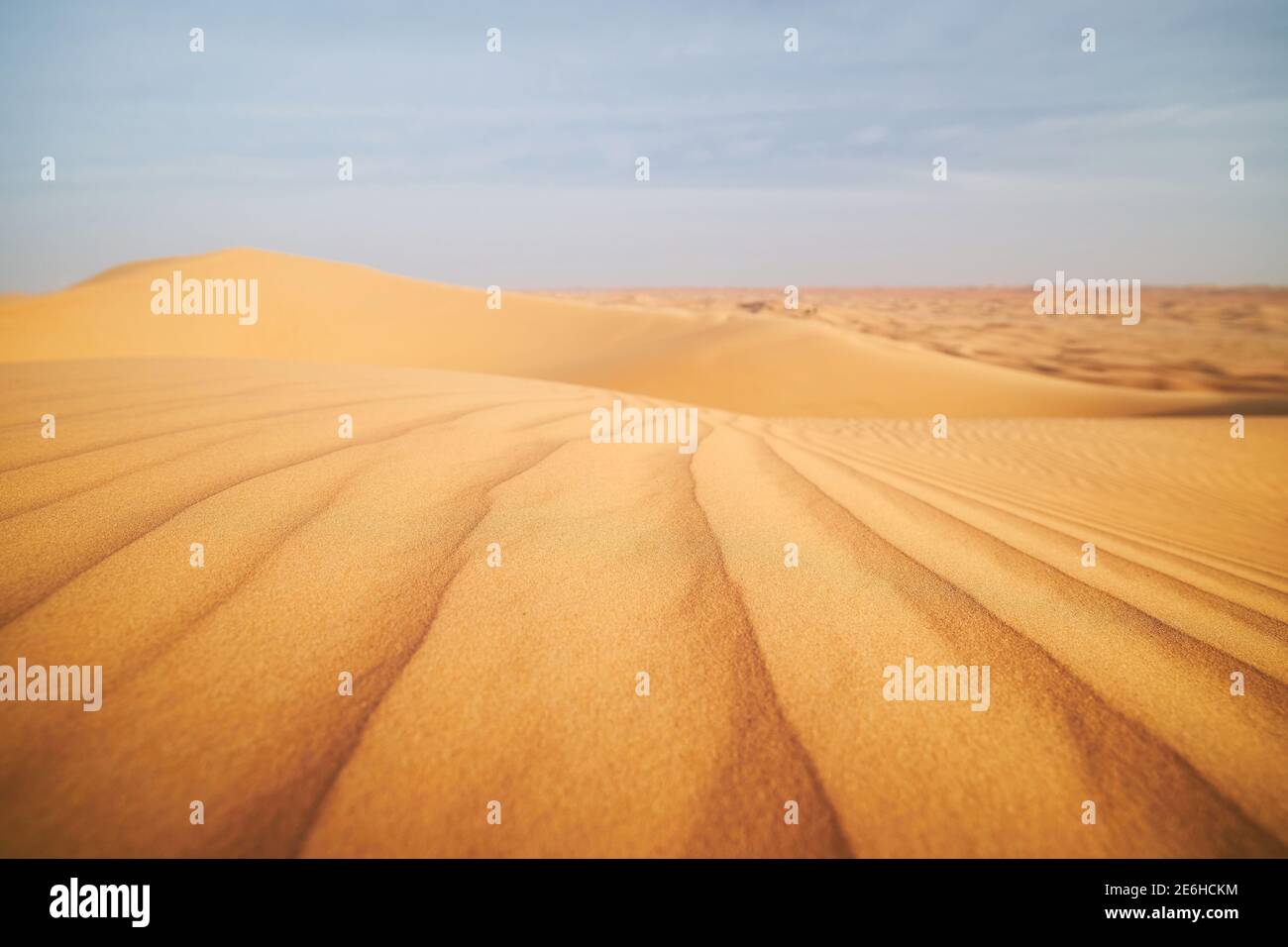 Selective focus on pattern of sand dunes in desert landscape. Abu Dhabi, United Arab Emirates Stock Photo