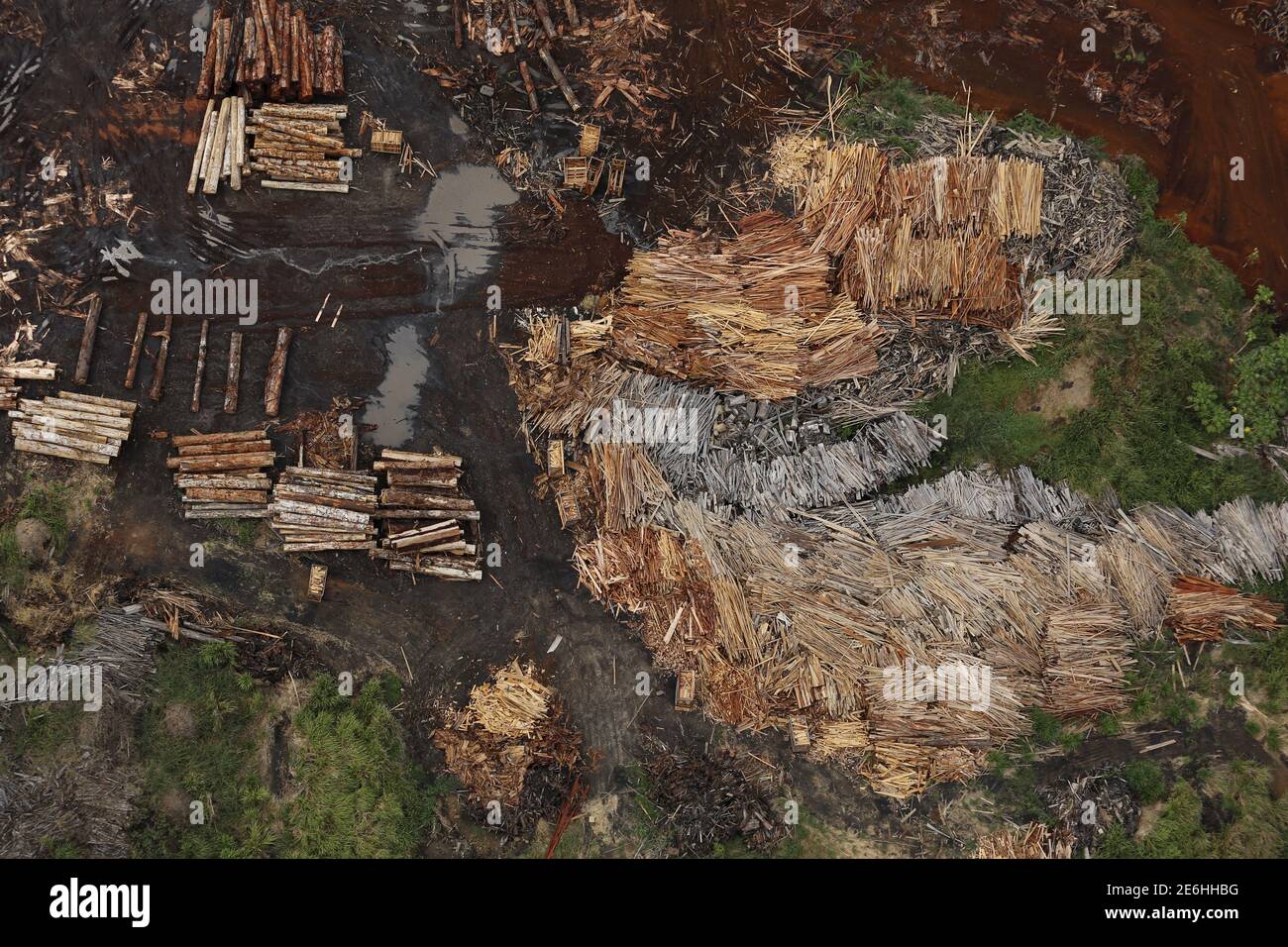 Illegal logging amazon rainforest hi-res stock photography and images ...