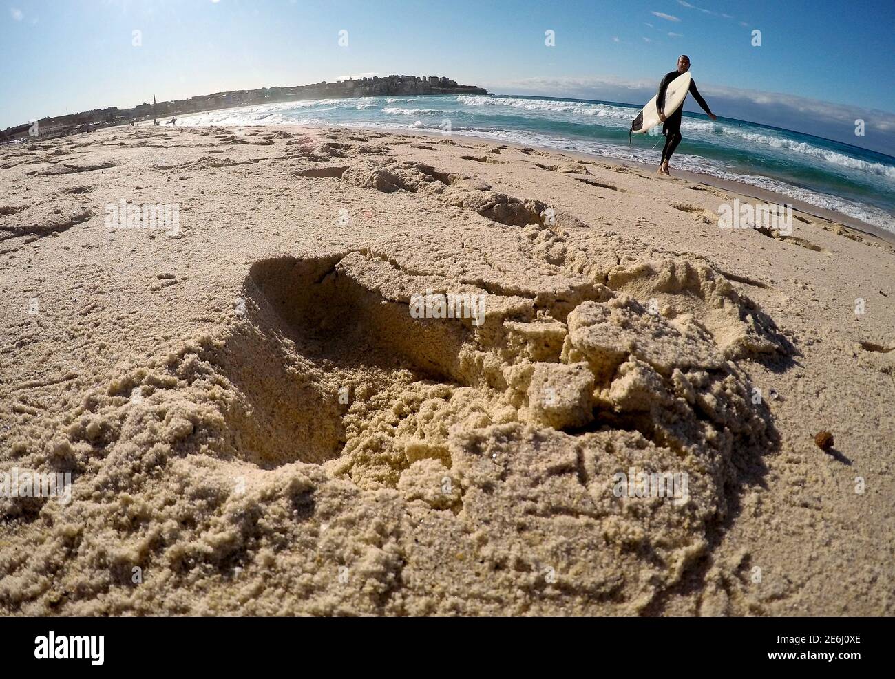 Page 3 Shark Attacks High Resolution Stock Photography And Images Alamy