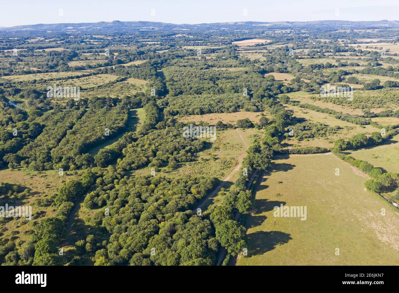 Knepp Estate, Sussex, rewilding project, aerial image shows oak woodland,  scrub and pasture, summer Stock Photo - Alamy