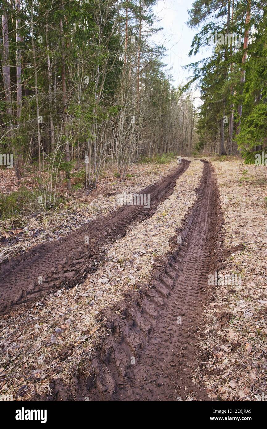 Countryside Off road  in forest background on day time Stock Photo