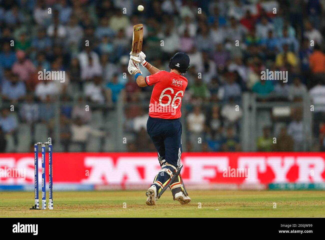root lg fortune from cricket 7 root lg fortune from cricket 7