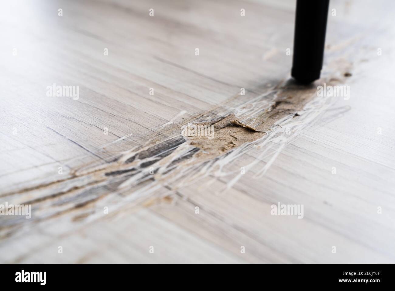 Broken Laminate Floor Damage. Destroyed House Flooring Stock Photo Alamy