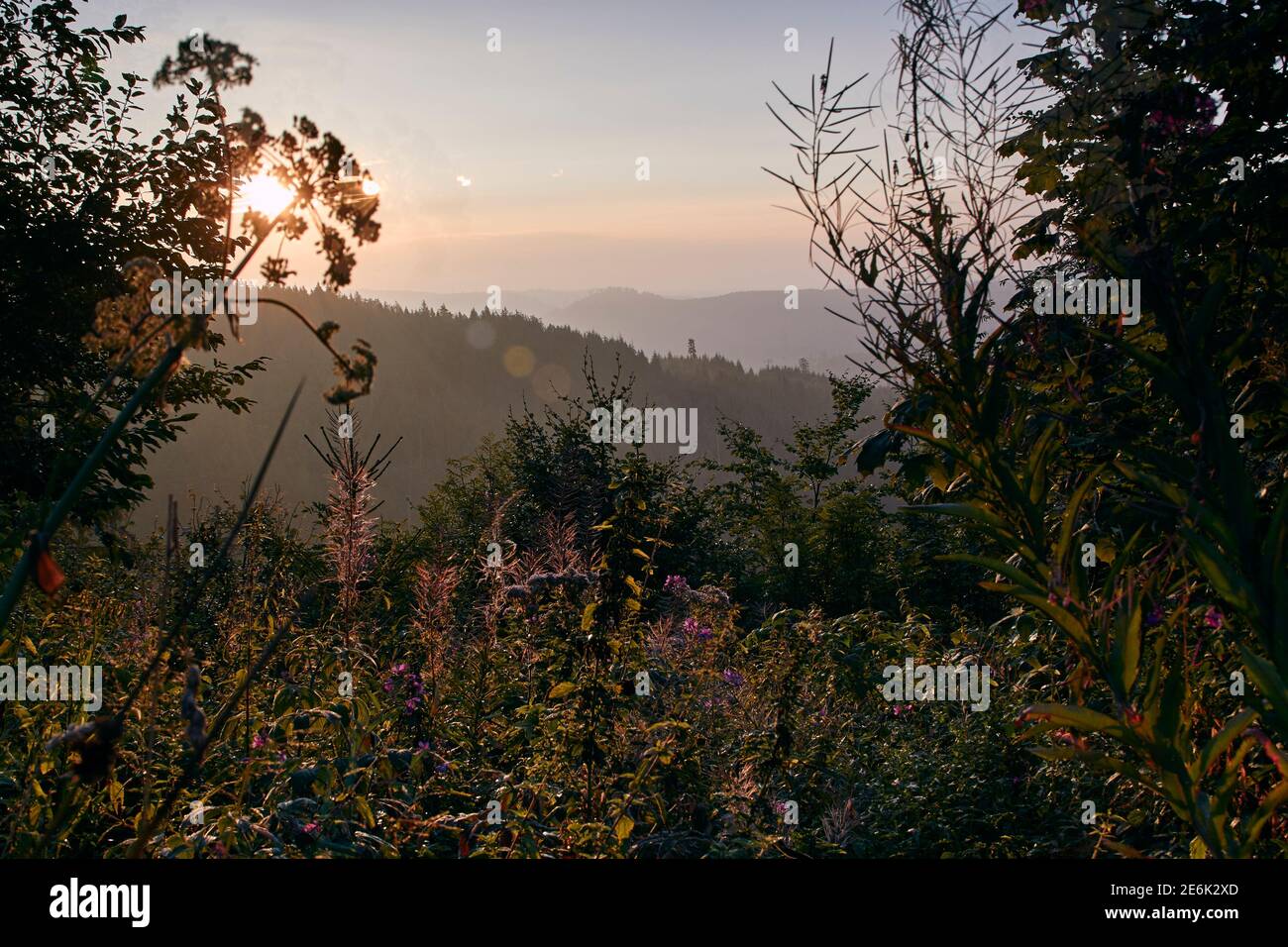Sunrise over the Black Forest in Germany Stock Photo - Alamy