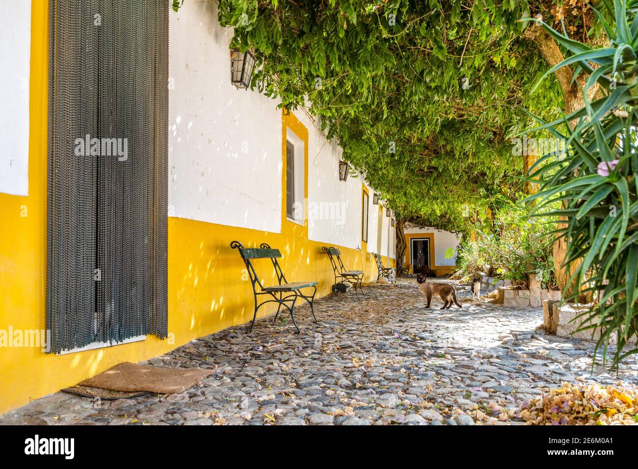 Green courtyard of rich traditional  house connected to wine industry in Alentejo, Portugal Stock Photo