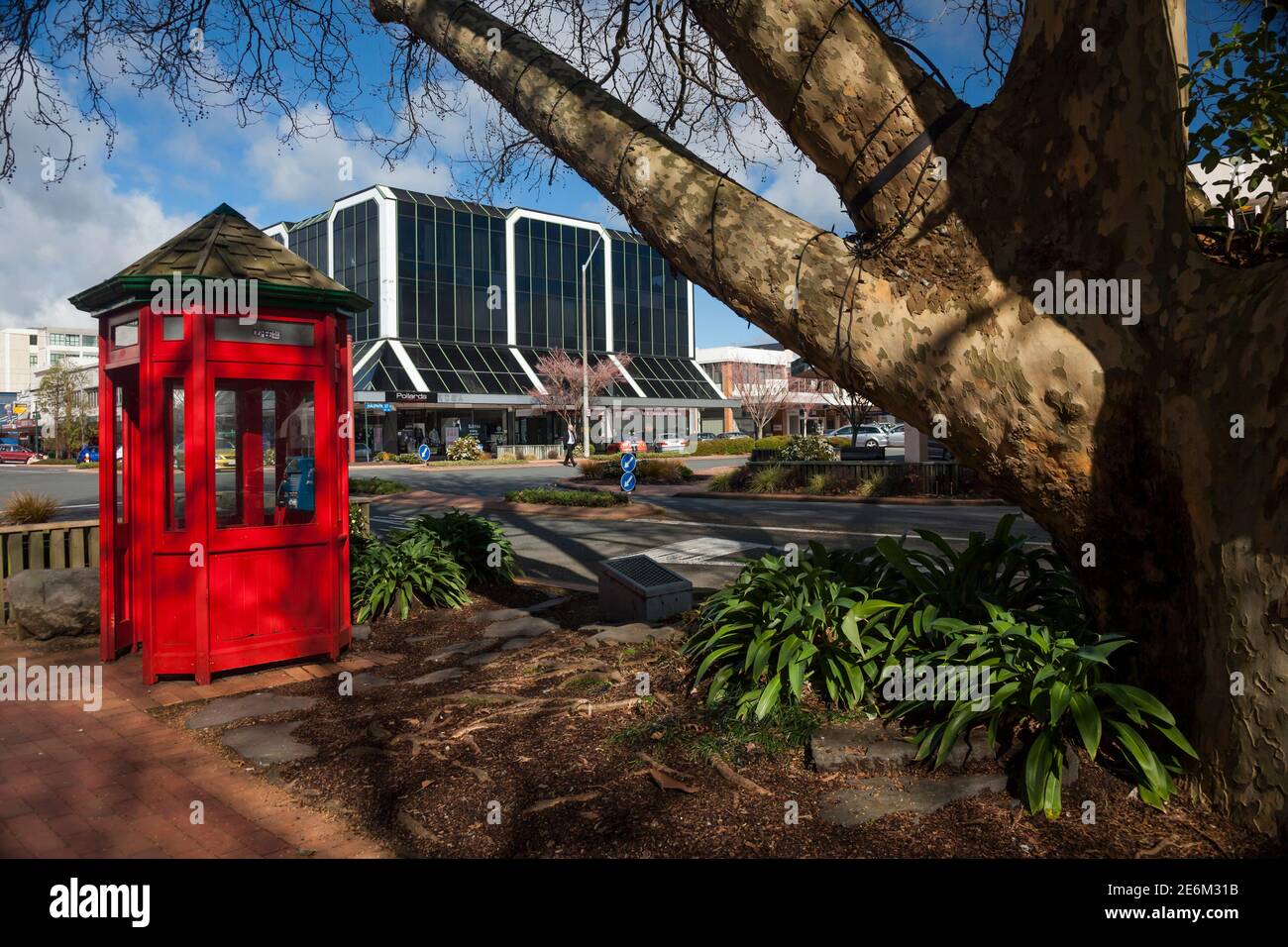 Horizontal view of a red telephone booth by a huge tree in Tutanakai St on a sunny day, Rotorua, North Island, New Zealand Stock Photo