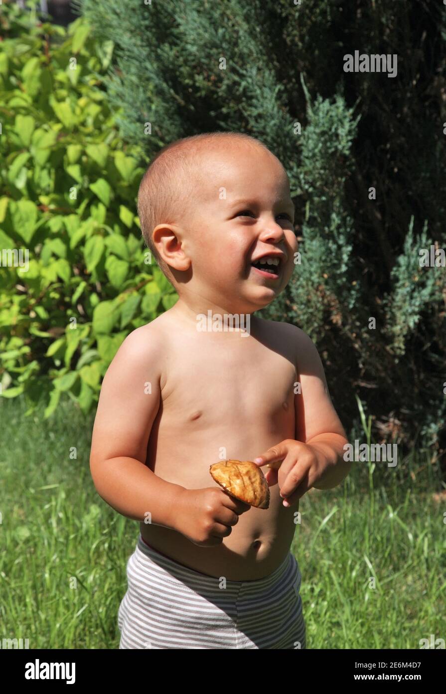 Small boy with mushroom Stock Photo Alamy