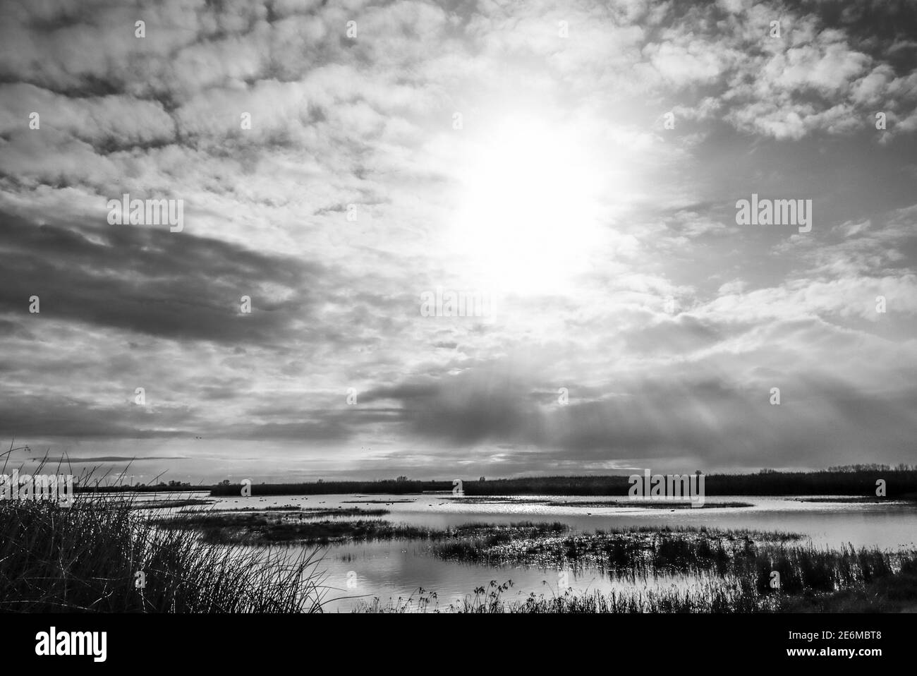 A sunny morning at the Merced National Wildlife refuge in the Central Valley of California USA Stock Photo
