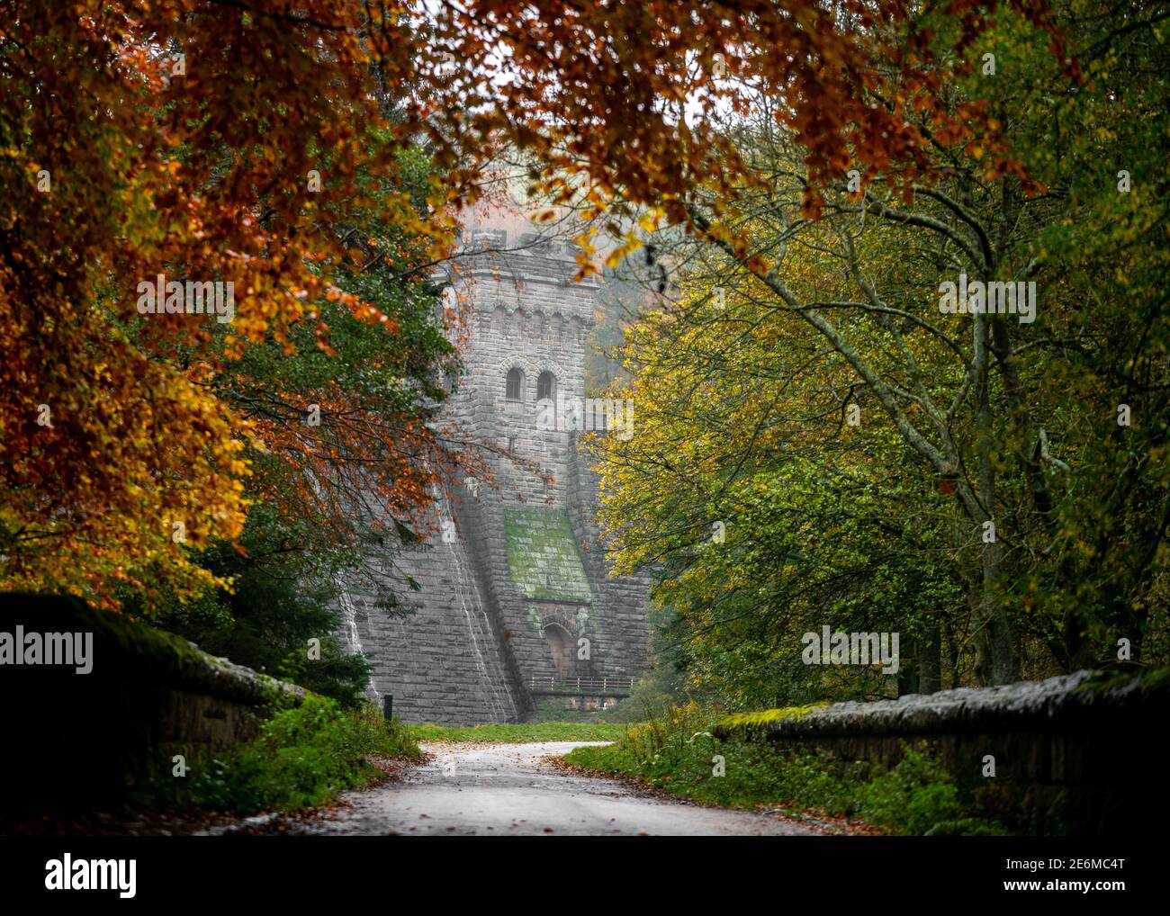 Countryside walk through autumn trees orange leaves fall colours dam wall reservoir viewpoint wall tower canopy romantic trees in forest yellow green Stock Photo