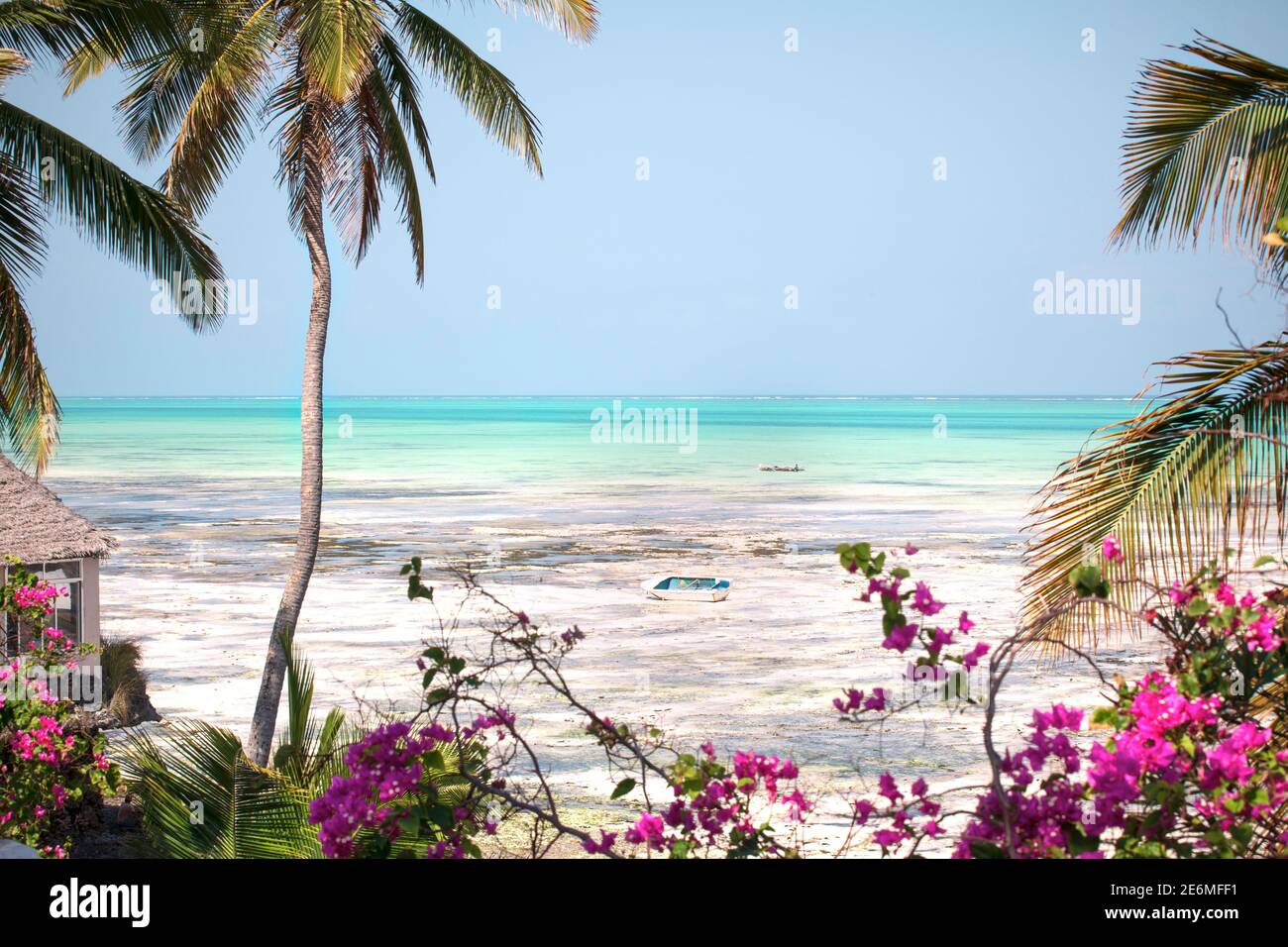 Beautiful paradise landscape of Zanzibar island. Tropical climate, beach with turquoise ocean, cocos palms, flowers, and wooden boat. Stock Photo