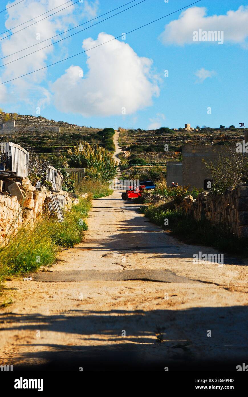 malta-trees-hi-res-stock-photography-and-images-alamy