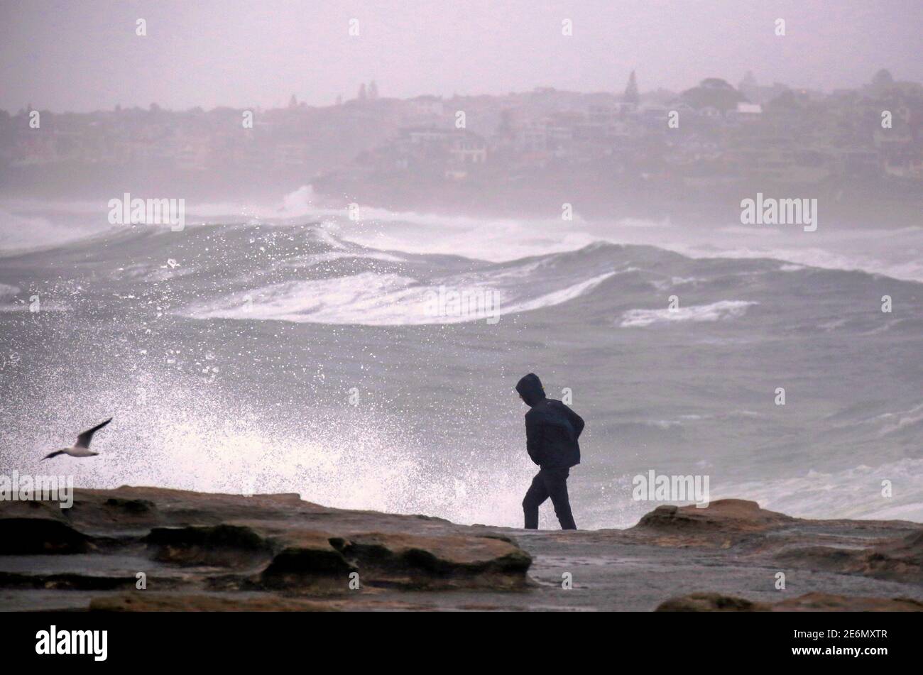 A man walks along a cliff as large waves batter the coastline in severe weather bringing strong winds and and heavy rain hits the eastern coast of Australia near Coogee Beach in Sydney, June 5, 2016.     REUTERS/David Gray Stock Photo